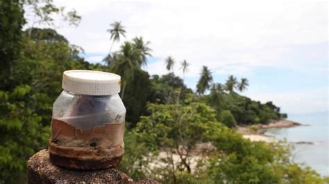 cache in malay|Cache .